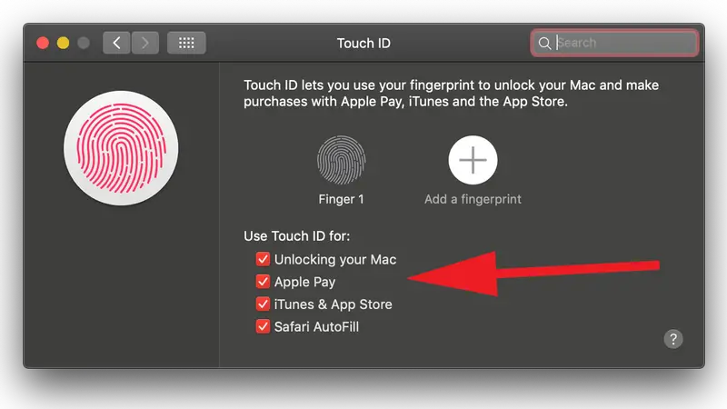 Comment utiliser Touch ID sur Mac: Options