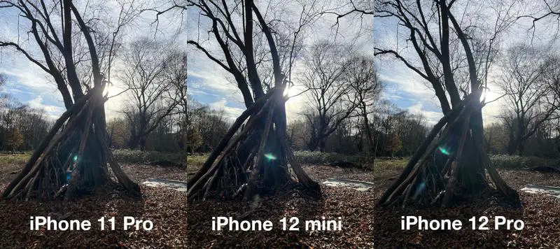 iPhone 12 mini examen: Smart HDR comparaison (arbre)