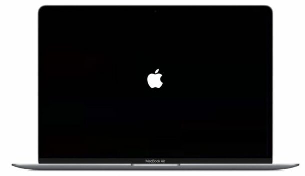 Comment réinstaller macOS sur les Mac M1 Apple Silicon