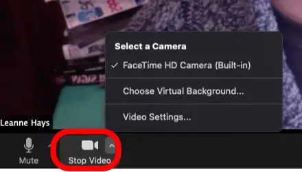 Arrêtez l'icône de zoom vidéo