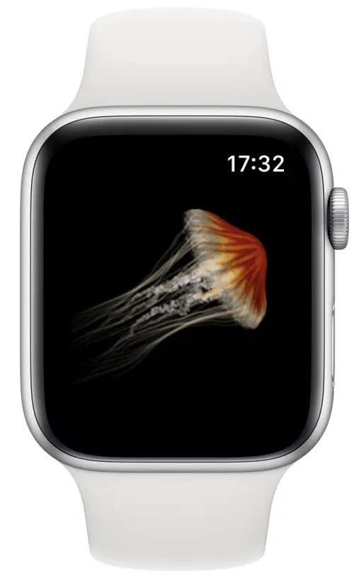 Jeu Jellyfish Tap sur Apple Watch