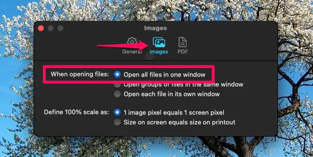 Comment convertir par lots des images WebP en JPG sur Mac