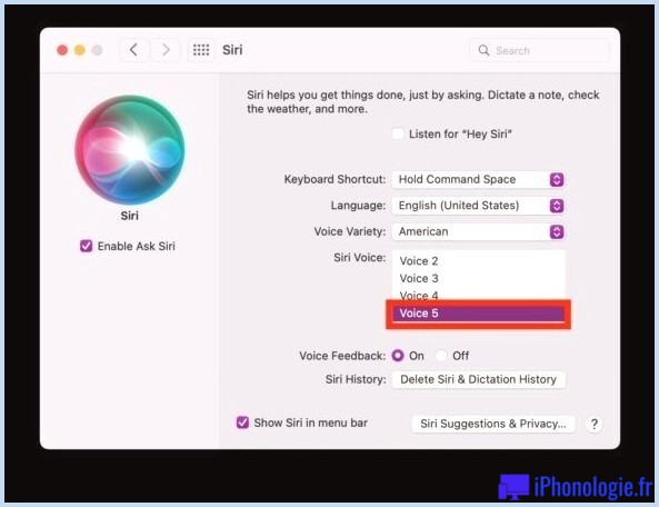 Utiliser la voix Siri non sexiste sur Mac avec Voice 5