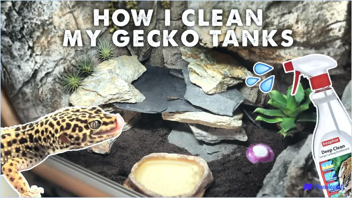 Comment nettoyer le réservoir du gecko léopard?