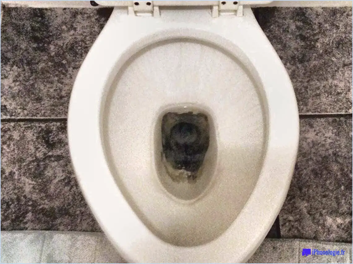 Comment nettoyer une cuvette de toilette noire?