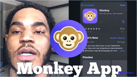 Pourquoi l'application Monkey a-t-elle été supprimée?