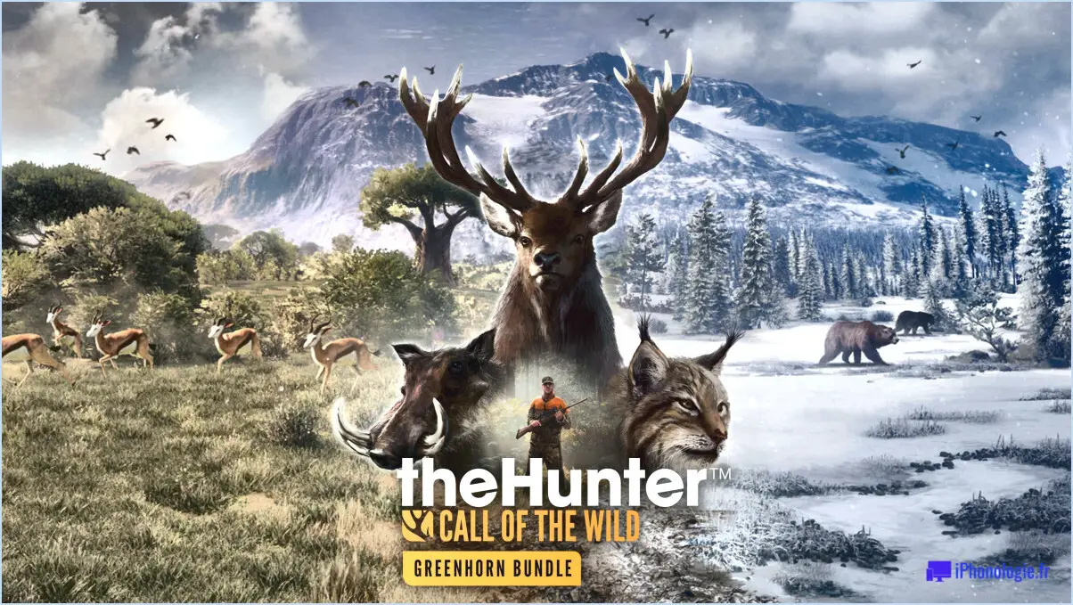 Combien coûte call of the wild sur ps4?