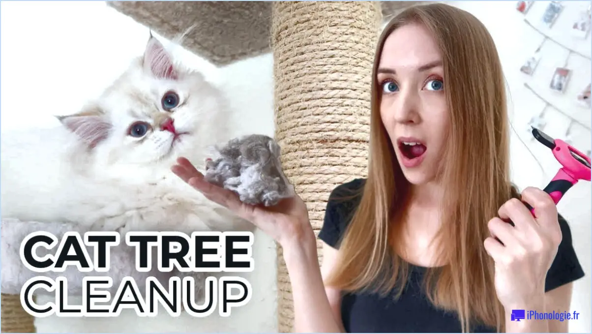 Comment nettoyer l'arbre à chat?