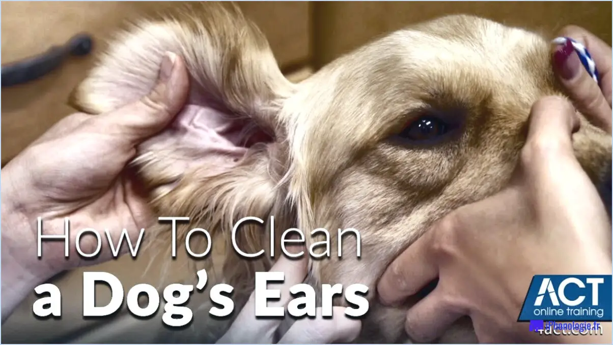 Comment nettoyer les oreilles d'un golden retriever?