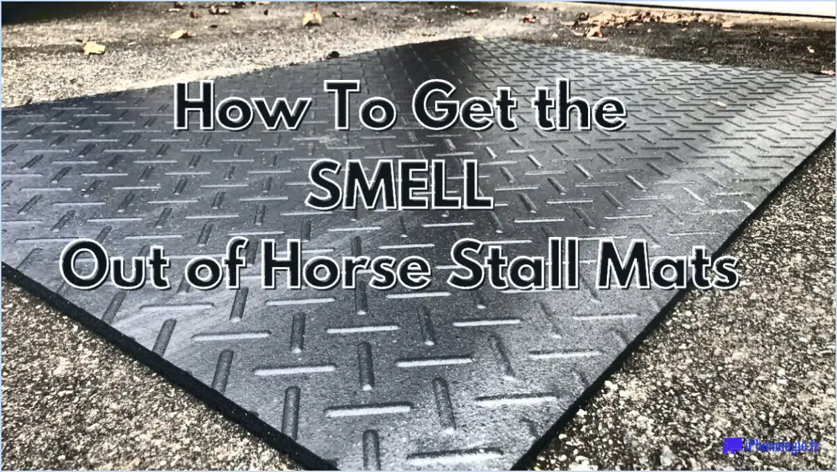 Comment nettoyer les tapis de stalles de chevaux?