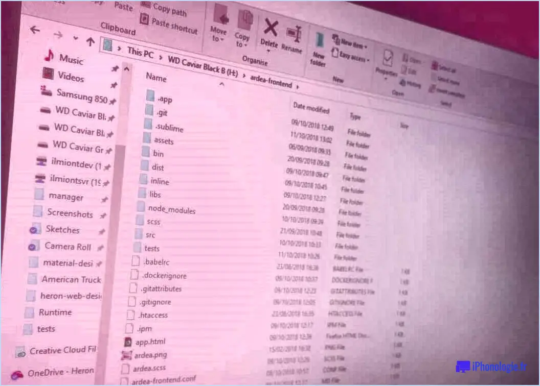 Comment rendre visible le chemin complet du dossier dans la barre de titre de l'explorateur de fichiers de windows 10?