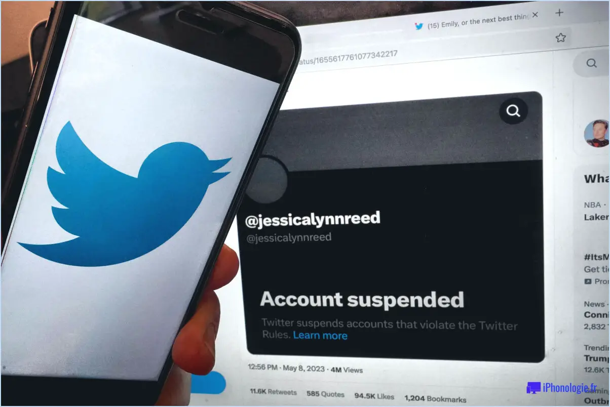 Twitter supprime-t-il les comptes suspendus?
