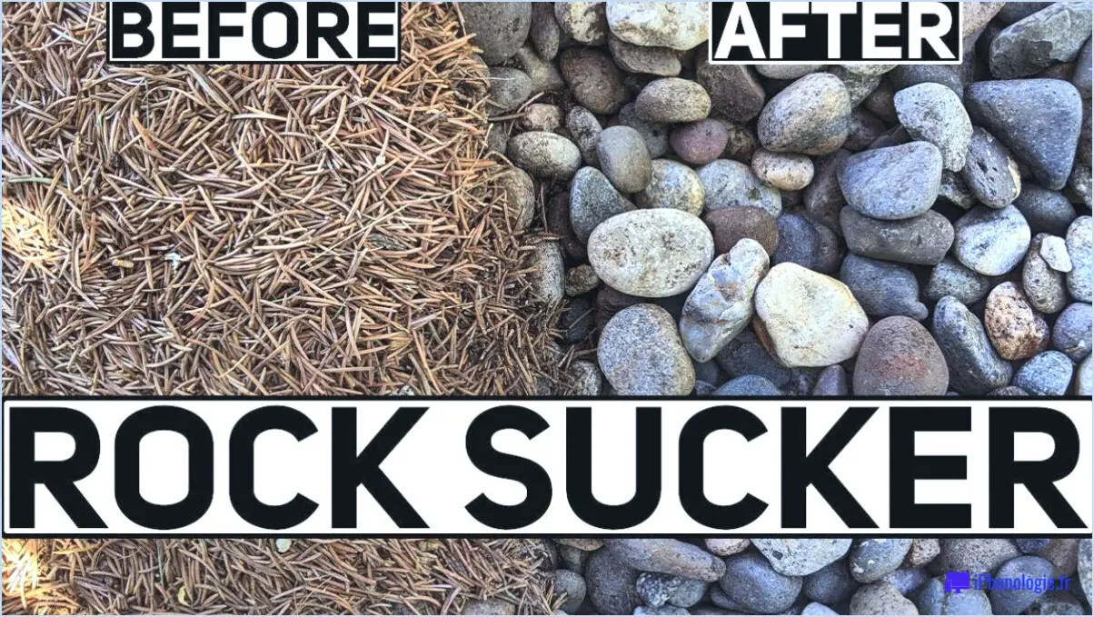 Comment nettoyer les aiguilles de pin sur les rochers?