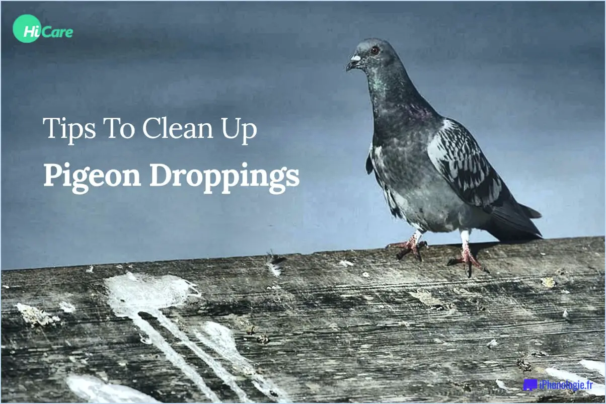 Comment nettoyer les crottes de pigeon?