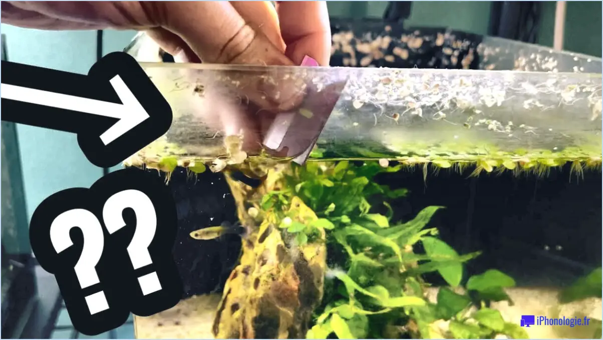 Comment nettoyer le verre de l'aquarium des résidus blancs?