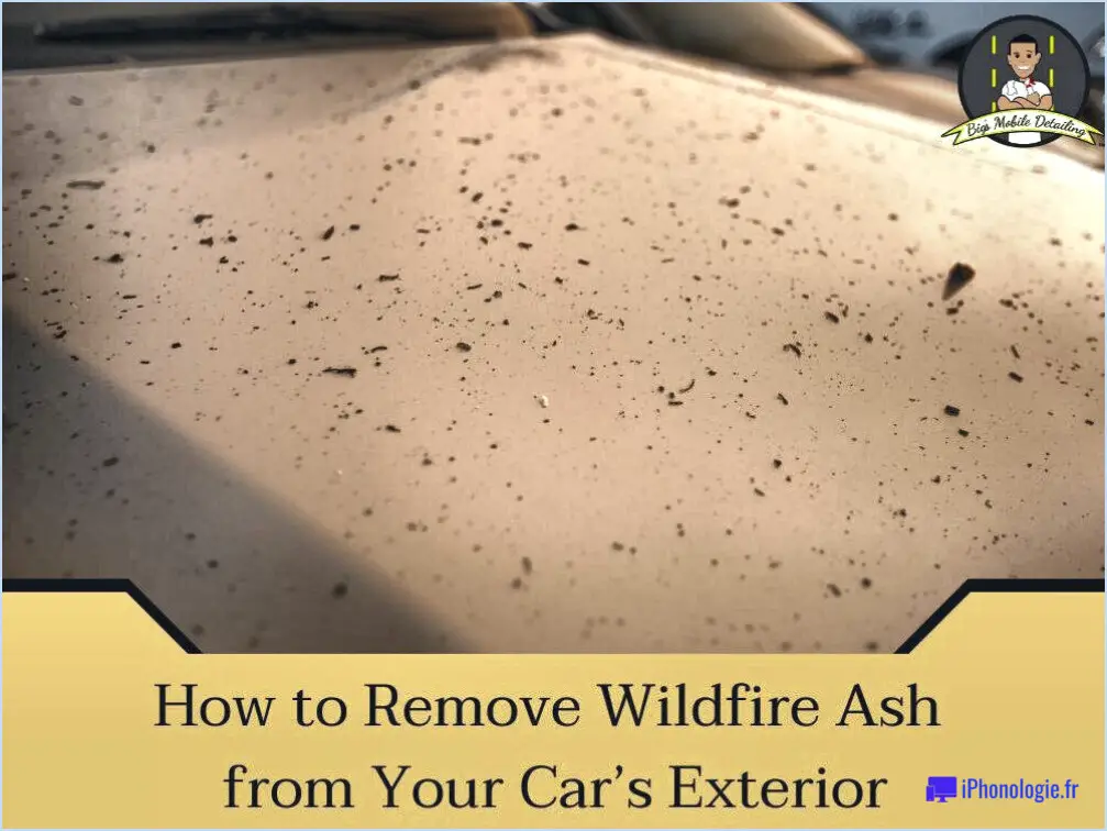 Comment nettoyer les cendres d'une voiture?