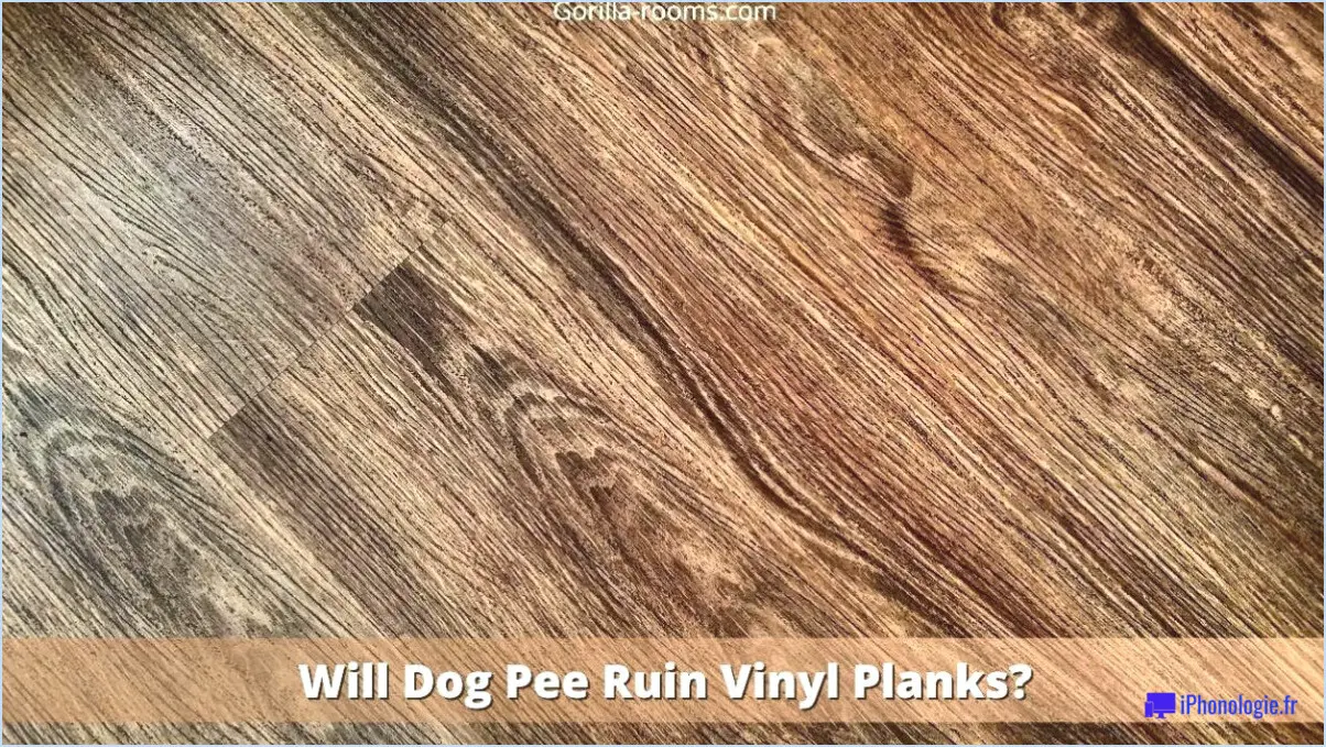 Comment nettoyer l'urine d'un animal de compagnie sur un revêtement de sol en vinyle?