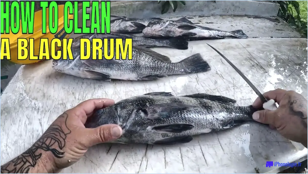 How to clean a drum fish?