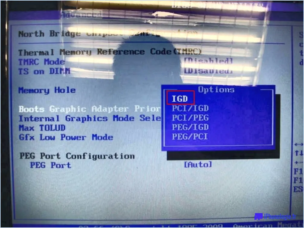 What is peg pci igd in bios?