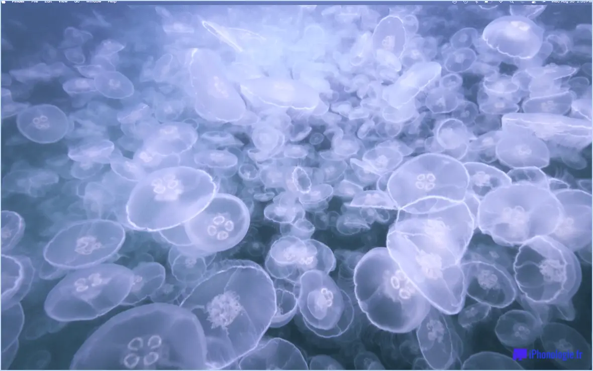 Fond d'écran macos sonoma: Lumière des gelées d'Alaska