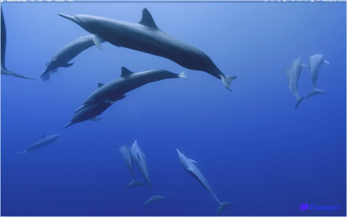 MacOS Sonoma Wallpaper: California Dolphin Pod
