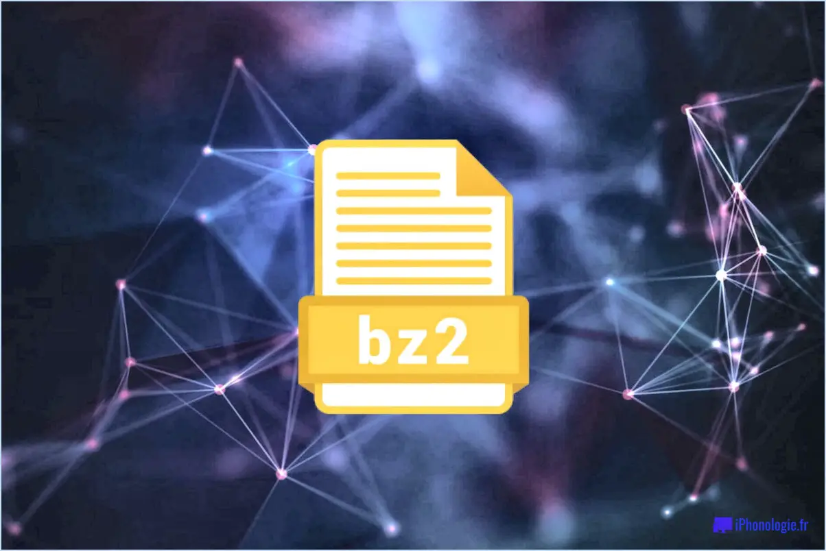 Que sont les fichiers BZ2?