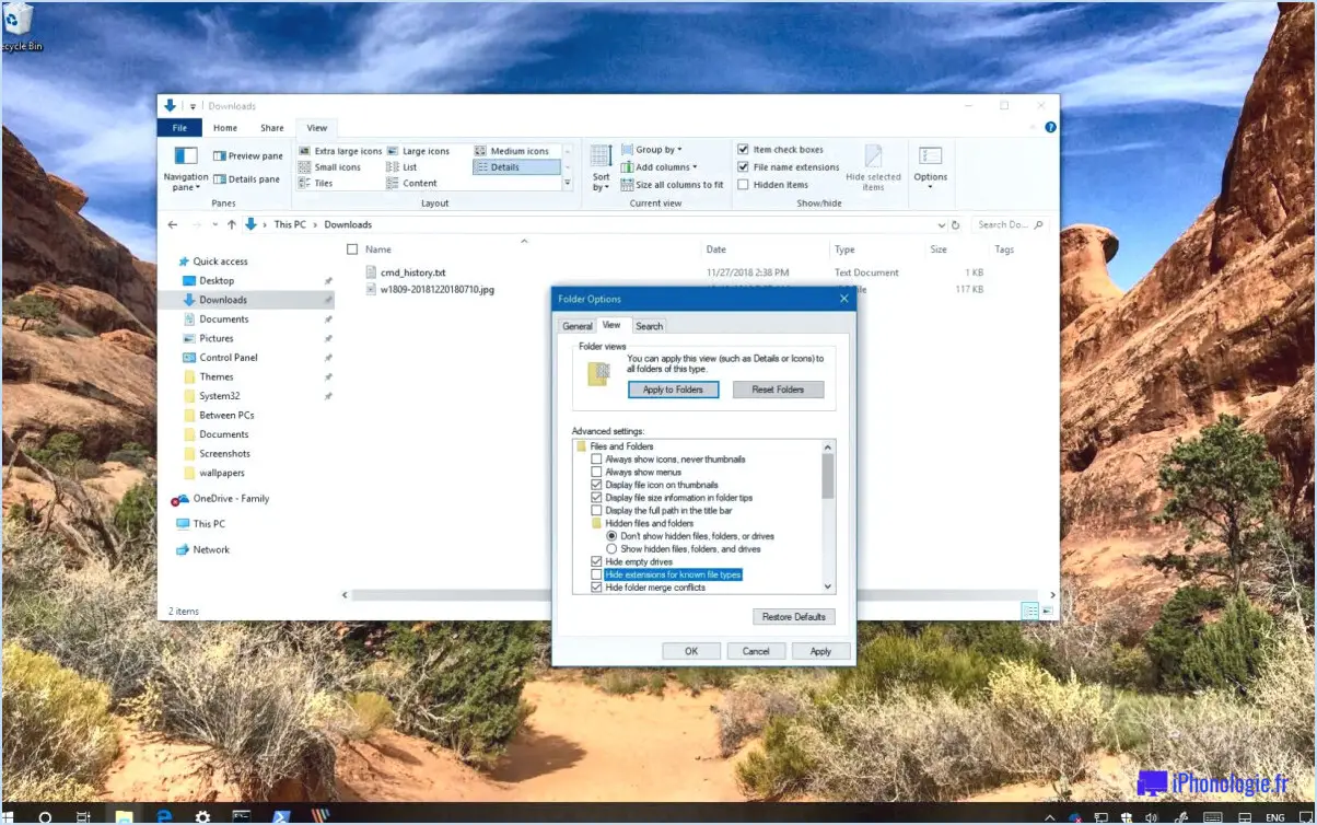 Comment activer les extensions de fichiers dans windows 10?