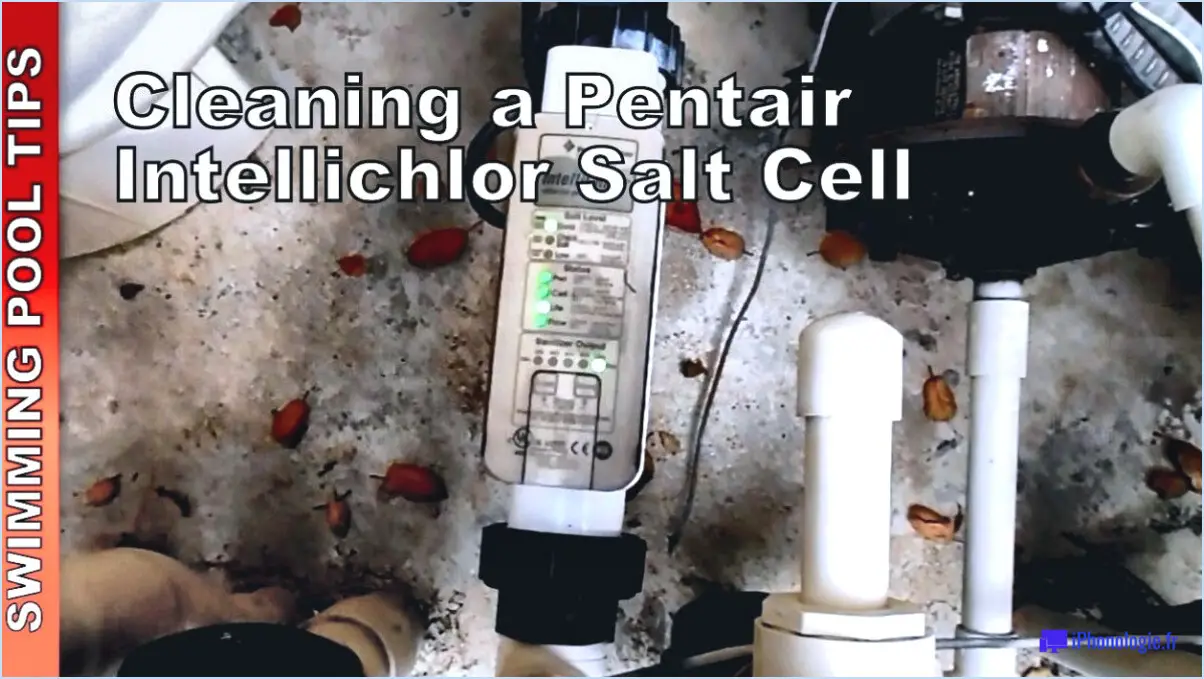 Comment nettoyer la cellule saline intellichlor?
