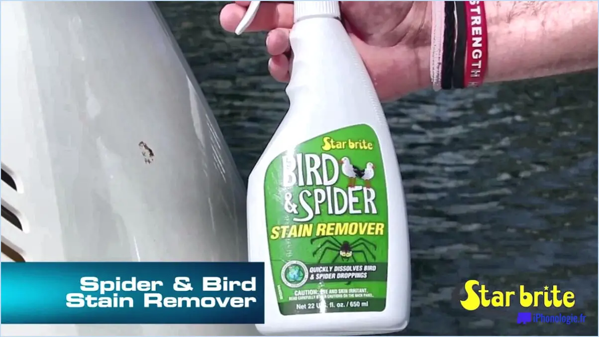 Comment nettoyer la crotte d'araignée?