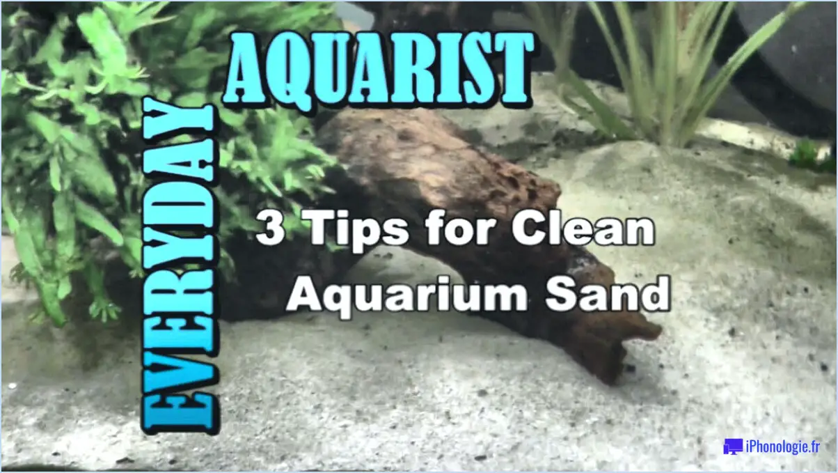 Comment nettoyer le sable des crottes de poisson?