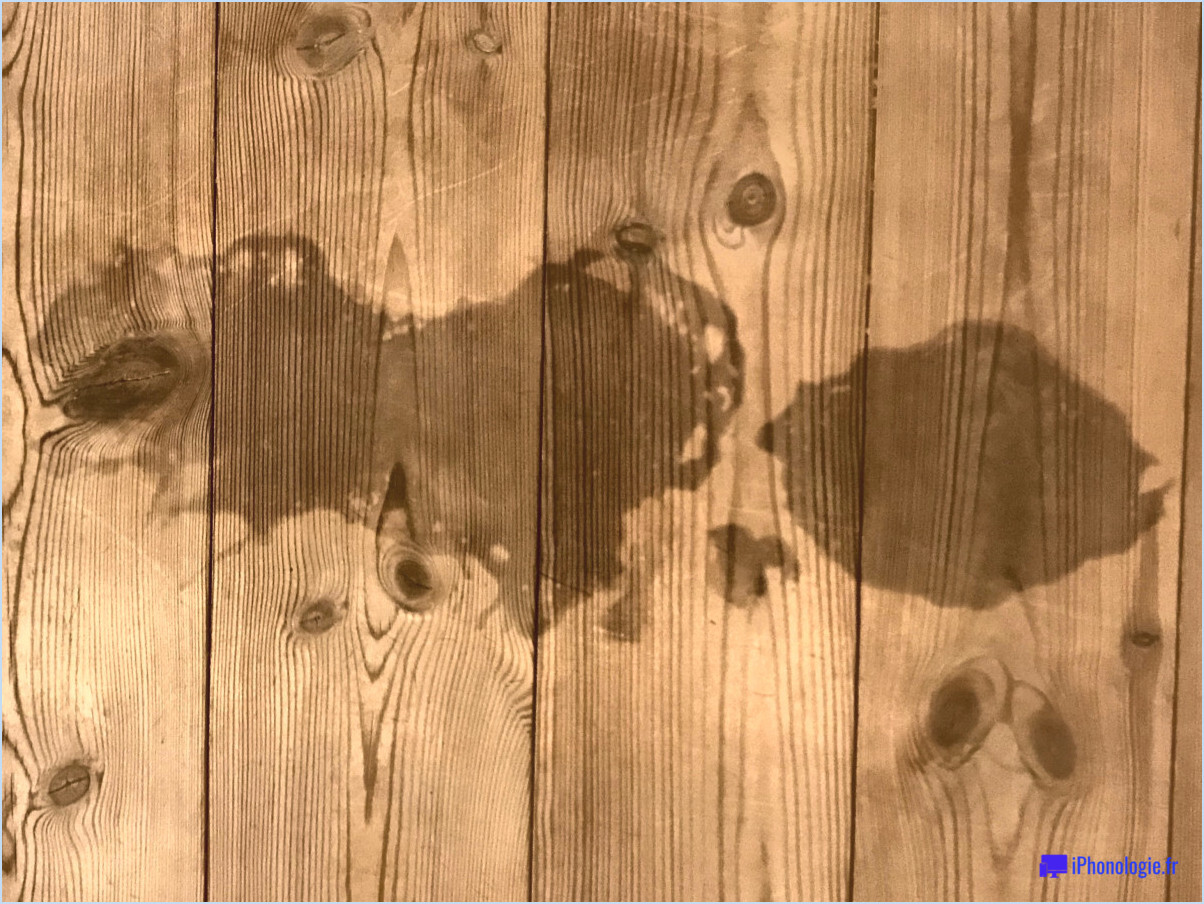 Comment nettoyer les crottes de chien sur un plancher en bois?
