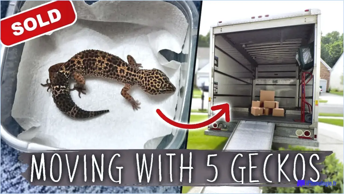Comment transporter un gecko dans une voiture?