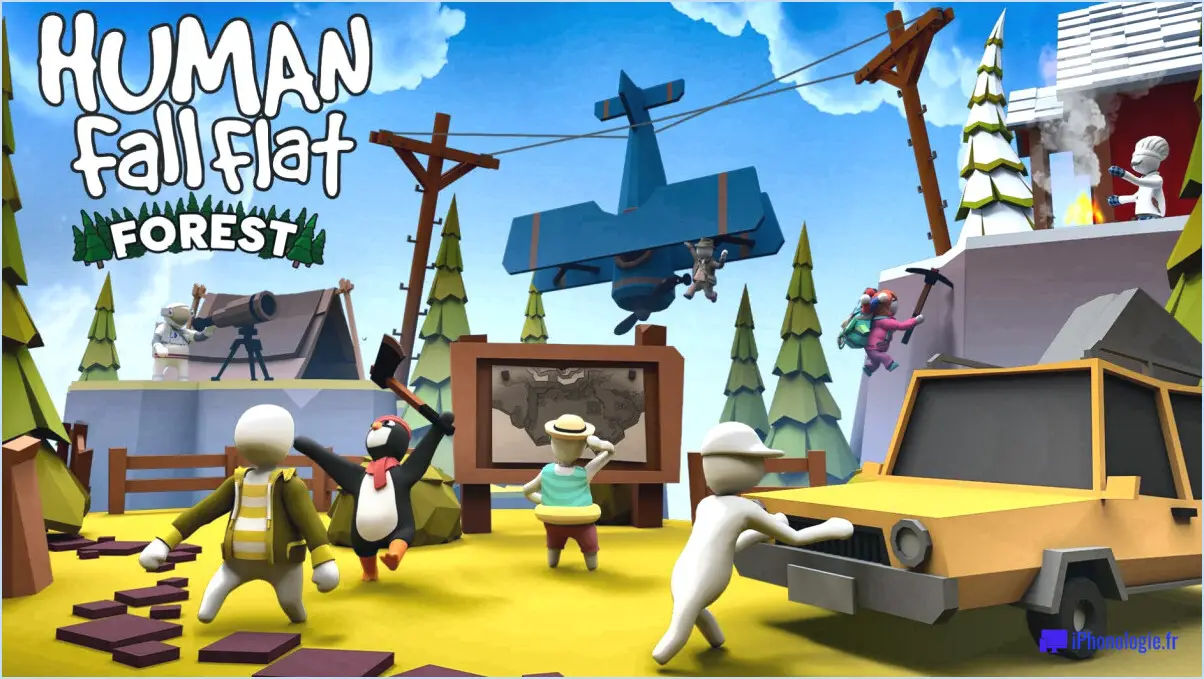 Le jeu human fall flat sur xbox one multiplayer?