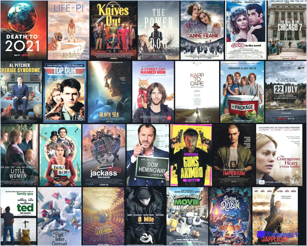 Comment obtenir les meilleurs films cultes sur Netflix?