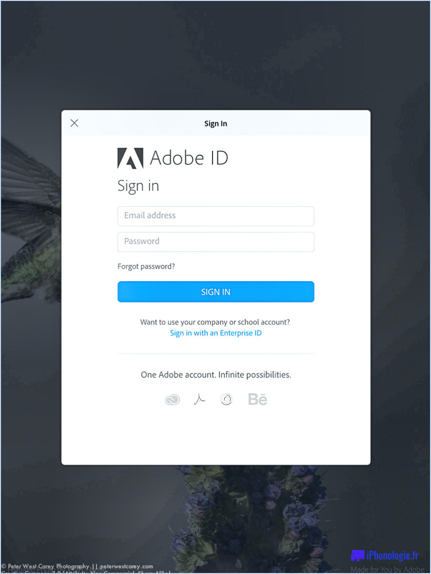 Comment modifier mon identifiant Adobe?