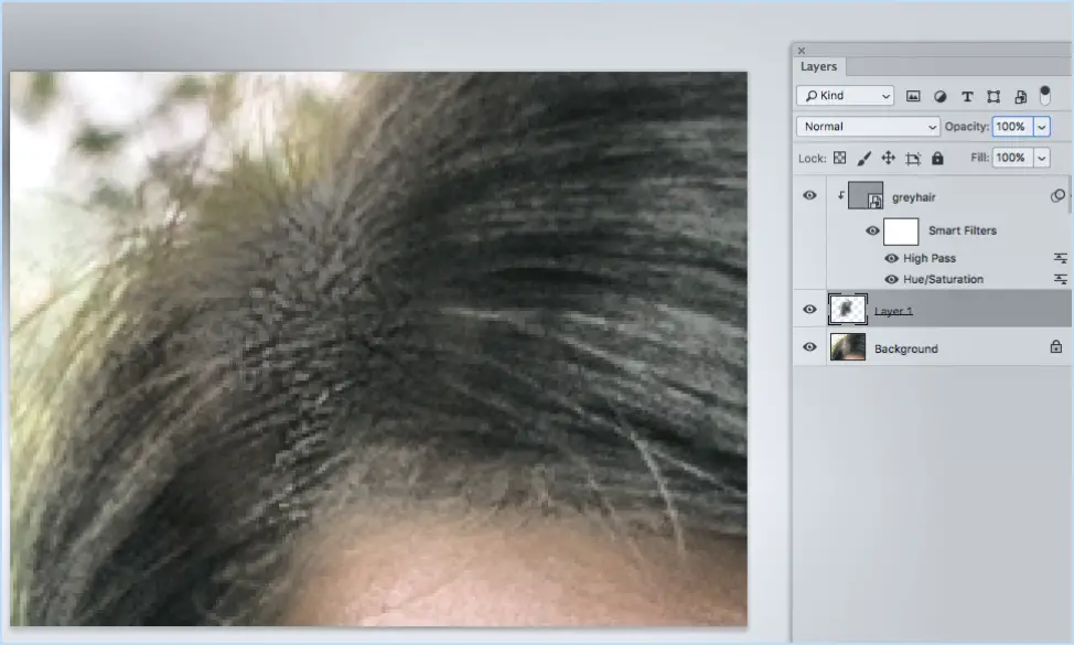 Comment couvrir les cheveux gris dans Photoshop?