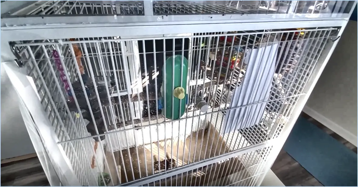Comment garder la zone autour de la cage de l'oiseau propre?