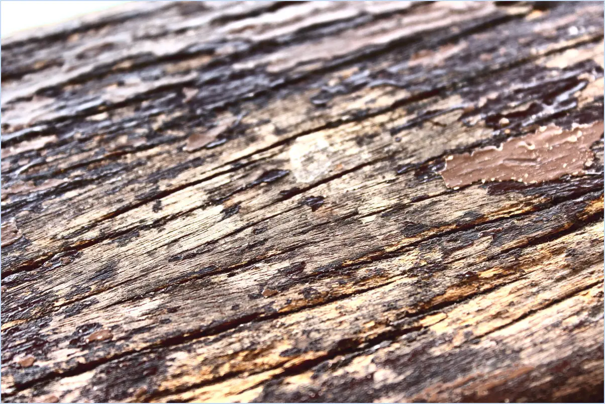 Comment nettoyer des panneaux de bois brut?