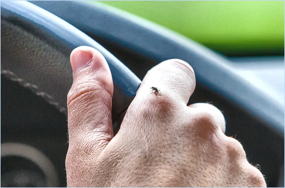 Comment se débarrasser des moustiques dans la voiture?