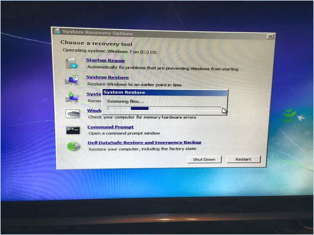 Comment vérifier la mémoire vive sous Windows 7?