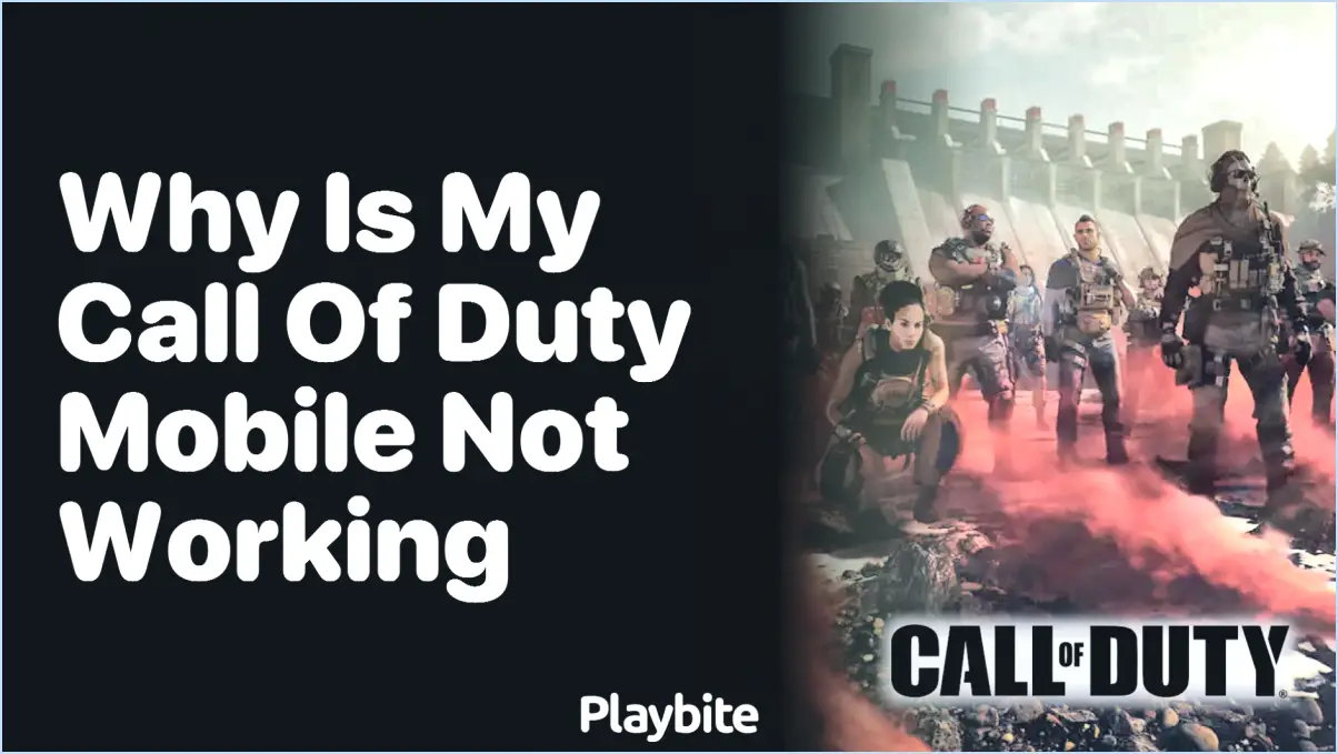 Pourquoi mon Call of Duty Mobile ne s'ouvre-t-il pas?