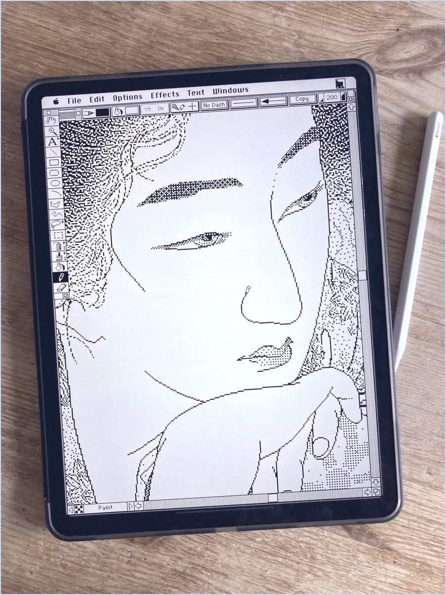 Ipad Pro illustration dans l'émulateur classique de Macintosh