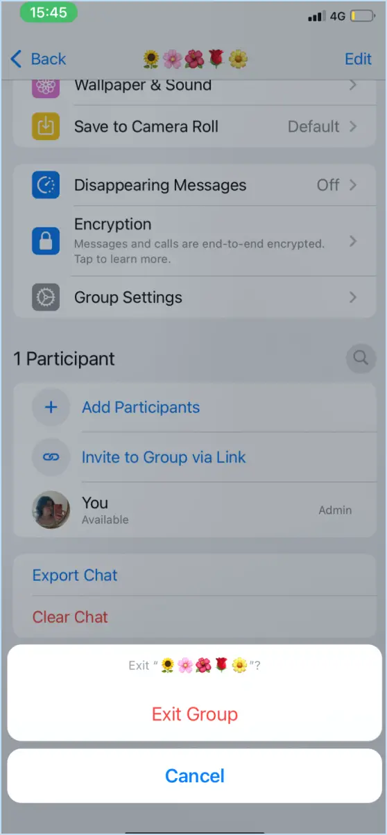 Comment faire pour épingler un message dans un chat de groupe whatsapp?