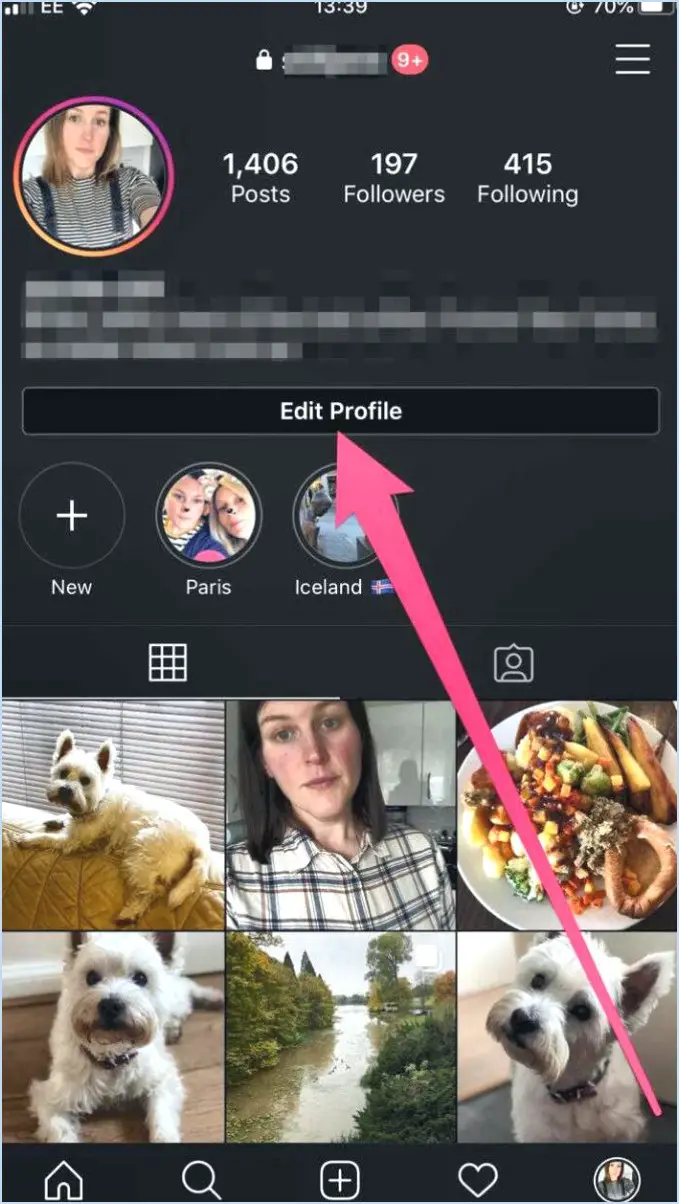 Comment mettre un animal de compagnie sur la bio Instagram?