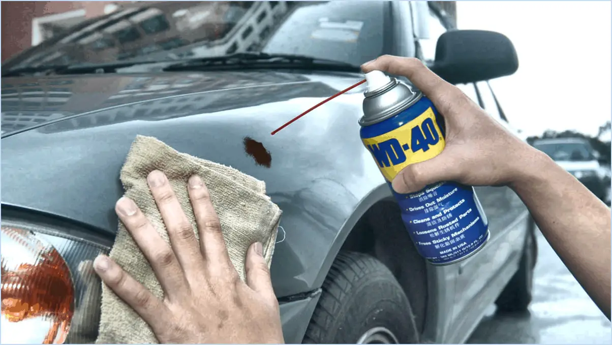 Comment nettoyer les insectes de la voiture avec du wd40?