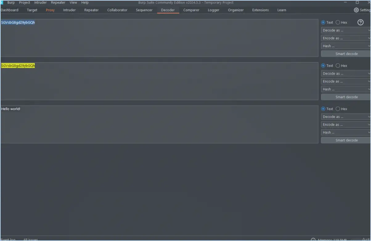 Comment utiliser le décodeur Burp Suite?