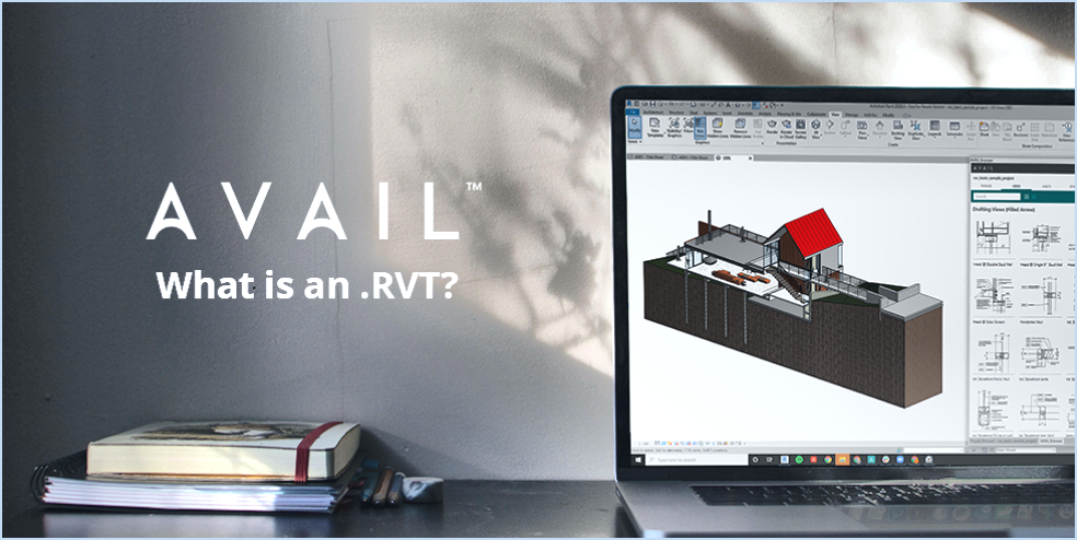 Que sont les fichiers RVT?