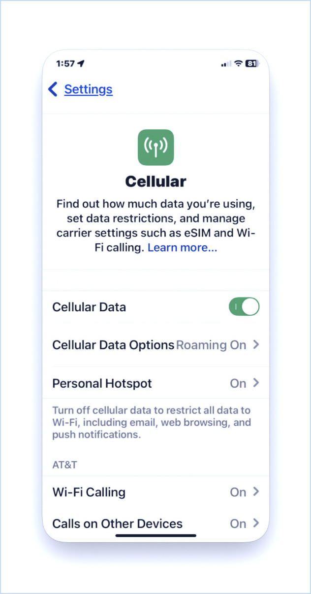 Assurez-vous que les données cellulaires sont activées sur iPhone avec iOS 18