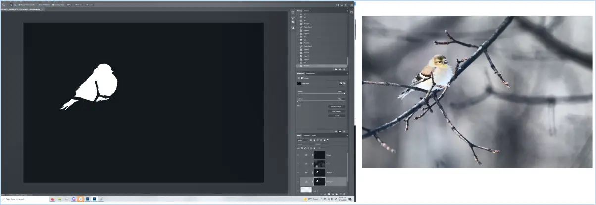 Comment enregistrer un masque dans Photoshop?