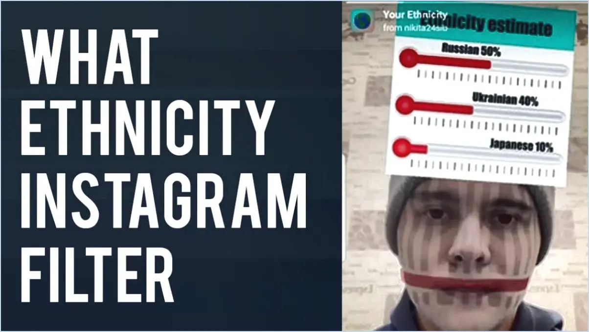 Comment faire un devis ethnique sur instagram?